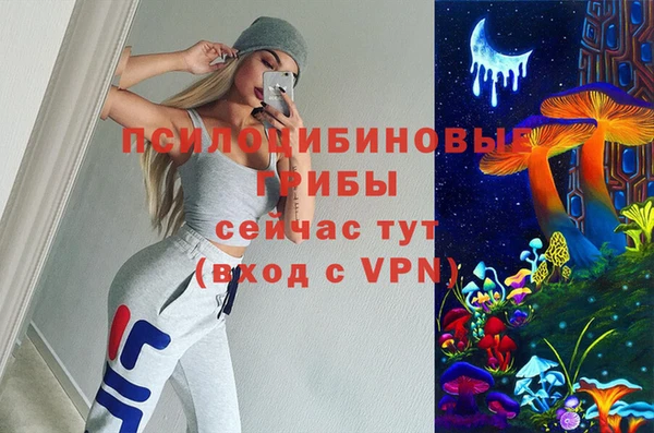 ECSTASY Алексин