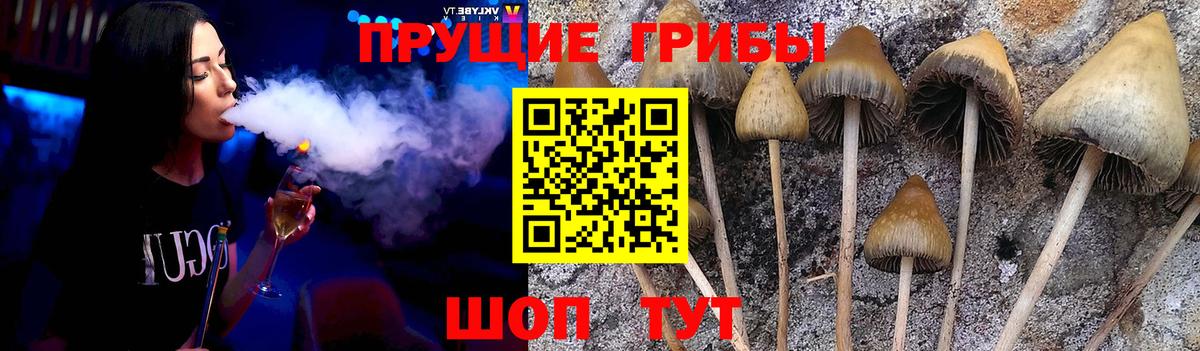 Галлюциногенные грибы прущие грибы  Вход с VPN  Еманжелинск 