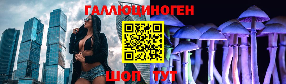 Псилоцибиновые грибы Psilocybine cubensis Еманжелинск